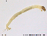  ( - RIN_CH63)  @12 [ ] CreativeCommons - Attribution Non-Commercial Share-Alike (2013) Mona Saursaunet, NTNU Museum of Natural History and Archeology NTNU Museum of Natural History and Archeology