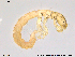  ( - RIN_CH68)  @12 [ ] CreativeCommons - Attribution Non-Commercial Share-Alike (2013) Mona Saursaunet, NTNU Museum of Natural History and Archeology NTNU Museum of Natural History and Archeology