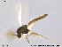  ( - RIN_CH94)  @13 [ ] CreativeCommons - Attribution Non-Commercial Share-Alike (2013) Mona Saursaunet, NTNU Museum of Natural History and Archeology NTNU Museum of Natural History and Archeology
