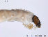 ( - BJ102)  @12 [ ] CreativeCommons - Attribution Non-Commercial Share-Alike (2013) NTNU Museum of Natural History and Archaeology NTNU Museum of Natural History and Archaeology
