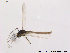  ( - BJ145)  @13 [ ] CreativeCommons - Attribution Non-Commercial Share-Alike (2013) NTNU Museum of Natural History and Archaeology NTNU Museum of Natural History and Archaeology