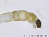  ( - BJ206)  @12 [ ] CreativeCommons - Attribution Non-Commercial Share-Alike (2011) NTNU Museum of Natural History and Archaeology NTNU Museum of Natural History and Archaeology