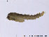  ( - BJ214)  @12 [ ] CreativeCommons - Attribution Non-Commercial Share-Alike (2011) NTNU Museum of Natural History and Archaeology NTNU Museum of Natural History and Archaeology