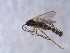  ( - BJ256)  @12 [ ] CreativeCommons - Attribution Non-Commercial Share-Alike (2011) NTNU Museum of Natural History and Archaeology NTNU Museum of Natural History and Archaeology
