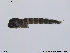  ( - BJ88)  @12 [ ] CreativeCommons - Attribution Non-Commercial Share-Alike (2013) NTNU Museum of Natural History and Archaeology NTNU Museum of Natural History and Archaeology