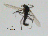  ( - GL66)  @12 [ ] CreativeCommons - Attribution Non-Commercial Share-Alike (2011) NTNU Museum of Natural History and Archaeology NTNU Museum of Natural History and Archaeology