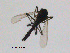  ( - GL67)  @12 [ ] CreativeCommons - Attribution Non-Commercial Share-Alike (2011) NTNU Museum of Natural History and Archaeology NTNU Museum of Natural History and Archaeology