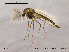  ( - SV175)  @14 [ ] CreativeCommons - Attribution Non-Commercial Share-Alike (2010) Unspecified NTNU Museum of Natural History and Archaeology