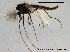  ( - SV229)  @14 [ ] CreativeCommons - Attribution Non-Commercial Share-Alike (2010) Unspecified NTNU Museum of Natural History and Archaeology