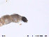  ( - SV468)  @12 [ ] CreativeCommons - Attribution Non-Commercial Share-Alike (2013) NTNU Museum of Natural History and Archaeology NTNU Museum of Natural History and Archaeology