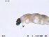  ( - SV469)  @12 [ ] CreativeCommons - Attribution Non-Commercial Share-Alike (2013) NTNU Museum of Natural History and Archaeology NTNU Museum of Natural History and Archaeology