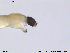  ( - SV470)  @12 [ ] CreativeCommons - Attribution Non-Commercial Share-Alike (2013) NTNU Museum of Natural History and Archaeology NTNU Museum of Natural History and Archaeology