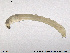  ( - SV 670)  @13 [ ] CreativeCommons - Attribution Non-Commercial Share-Alike (2013) NTNU Museum of Natural History and Archaeology NTNU Museum of Natural History and Archaeology