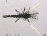  ( - SV 681)  @12 [ ] CreativeCommons - Attribution Non-Commercial Share-Alike (2013) NTNU Museum of Natural History and Archaeology NTNU Museum of Natural History and Archaeology