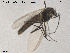  ( - SV 753)  @12 [ ] CreativeCommons - Attribution Non-Commercial Share-Alike (2013) NTNU Museum of Natural History and Archaeology NTNU Museum of Natural History and Archaeology