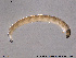  ( - SV 821)  @12 [ ] CreativeCommons - Attribution Non-Commercial Share-Alike (2013) NTNU Museum of Natural History and Archaeology NTNU Museum of Natural History and Archaeology