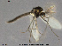  ( - SV 826)  @13 [ ] CreativeCommons - Attribution Non-Commercial Share-Alike (2013) NTNU Museum of Natural History and Archaeology NTNU Museum of Natural History and Archaeology