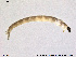  ( - SV 834)  @12 [ ] CreativeCommons - Attribution Non-Commercial Share-Alike (2013) NTNU Museum of Natural History and Archaeology NTNU Museum of Natural History and Archaeology
