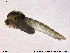  ( - SV 840)  @13 [ ] CreativeCommons - Attribution Non-Commercial Share-Alike (2013) NTNU Museum of Natural History and Archaeology NTNU Museum of Natural History and Archaeology