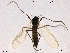  ( - SV 859)  @12 [ ] CreativeCommons - Attribution Non-Commercial Share-Alike (2013) NTNU Museum of Natural History and Archaeology NTNU Museum of Natural History and Archaeology
