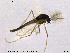  ( - SV 860)  @13 [ ] CreativeCommons - Attribution Non-Commercial Share-Alike (2013) NTNU Museum of Natural History and Archaeology NTNU Museum of Natural History and Archaeology