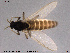  ( - SV 876)  @12 [ ] CreativeCommons - Attribution Non-Commercial Share-Alike (2013) NTNU Museum of Natural History and Archaeology NTNU Museum of Natural History and Archaeology