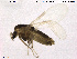  ( - SV 891)  @13 [ ] CreativeCommons - Attribution Non-Commercial Share-Alike (2013) NTNU Museum of Natural History and Archaeology NTNU Museum of Natural History and Archaeology