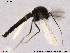  ( - SV 898)  @12 [ ] CreativeCommons - Attribution Non-Commercial Share-Alike (2013) NTNU Museum of Natural History and Archaeology NTNU Museum of Natural History and Archaeology