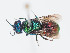  ( - PRC_00679)  @11 [ ] CreativeCommons  Attribution Non-Commercial Share-Alike (2024) Paolo Rosa University of Mons