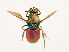  ( - PRC_01057)  @11 [ ] CreativeCommons  Attribution Non-Commercial Share-Alike (2024) Paolo Rosa University of Mons