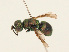  ( - PRC_01066)  @11 [ ] CreativeCommons  Attribution Non-Commercial Share-Alike (2024) Paolo Rosa University of Mons