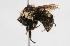  ( - CHU05-BEE-003)  @13 [ ] Unspecified (default): All Rights Reserved  Unspecified Unspecified