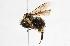  ( - CHU05-BEE-023)  @13 [ ] Unspecified (default): All Rights Reserved  Unspecified Unspecified