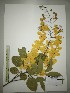  ( - FPSCU SS-051)  @11 [ ] Unspecified (default): All Rights Reserved (2017) Chulalongkorn University Chulalongkorn University