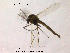  ( - CHIR_CH599)  @12 [ ] CreativeCommons - Attribution Non-Commercial Share-Alike (2010) Unspecified NTNU Museum of Natural History and Archaeology