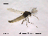  ( - CHIR_CH612)  @12 [ ] CreativeCommons - Attribution Non-Commercial Share-Alike (2010) Unspecified NTNU Museum of Natural History and Archaeology
