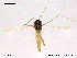  ( - CHIR_CH658)  @11 [ ] CreativeCommons - Attribution Non-Commercial Share-Alike (2010) Unspecified NTNU Museum of Natural History and Archaeology