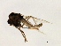  ( - HLC-27016)  @11 [ ] CreativeCommons - Attribution (2009) Unspecified Centre for Biodiversity Genomics