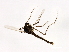  ( - HLC-27039)  @12 [ ] CreativeCommons - Attribution (2009) Unspecified Centre for Biodiversity Genomics