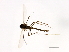  ( - HLC-27041)  @12 [ ] CreativeCommons - Attribution (2009) Unspecified Centre for Biodiversity Genomics