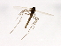  ( - HLC-27042)  @12 [ ] CreativeCommons - Attribution (2009) Unspecified Centre for Biodiversity Genomics