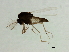  ( - HLC-27118)  @12 [ ] CreativeCommons - Attribution (2009) Unspecified Centre for Biodiversity Genomics