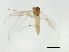  ( - HLC-27147)  @12 [ ] CreativeCommons - Attribution (2009) Unspecified Centre for Biodiversity Genomics