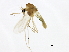  ( - HLC-27158)  @12 [ ] CreativeCommons - Attribution (2009) Unspecified Centre for Biodiversity Genomics