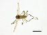  ( - HLC-27176)  @12 [ ] CreativeCommons - Attribution (2009) Unspecified Centre for Biodiversity Genomics