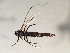  ( - HLC-26903)  @12 [ ] CreativeCommons - Attribution (2009) Unspecified Centre for Biodiversity Genomics