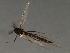  ( - HLC-26953)  @12 [ ] CreativeCommons - Attribution (2009) Unspecified Centre for Biodiversity Genomics