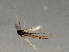  ( - HLC-26955)  @12 [ ] CreativeCommons - Attribution (2009) Unspecified Centre for Biodiversity Genomics