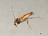  ( - HLC-26957)  @12 [ ] CreativeCommons - Attribution (2009) Unspecified Centre for Biodiversity Genomics