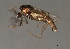  ( - HLC-26963)  @12 [ ] CreativeCommons - Attribution (2009) Unspecified Centre for Biodiversity Genomics